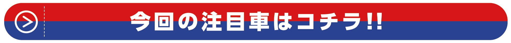 今回の注目車はこちら!!