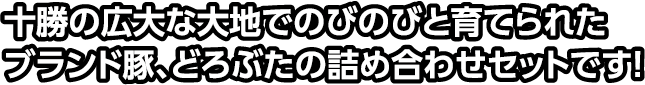 十勝の広大な大地でのびのびと育てられたブランド豚、どろぶたの詰め合わせセットです！
